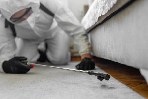 Professional Pest Control technician working in Denver, NC