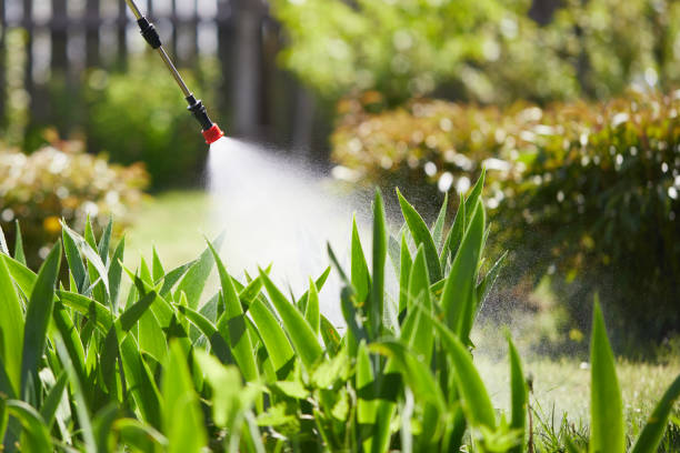 24/7 Emergency Pest Control experts in Denver, NC